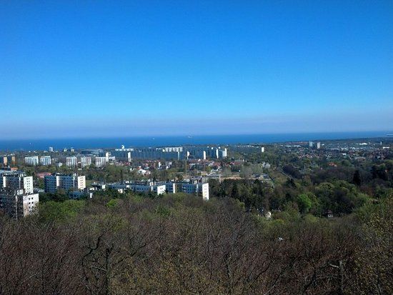 Wieża Widokowa Pachołek